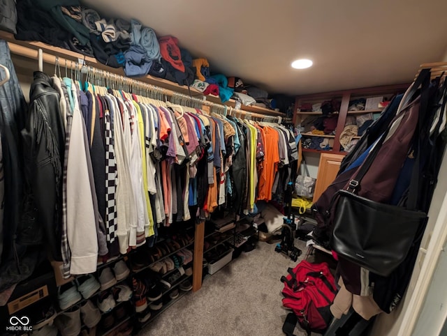 317 Washington St, Clay City, IN 47841 - spacious closet featuring carpet flooring