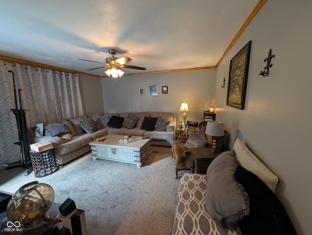 317 Washington St, Clay City, IN 47841 - carpeted living room featuring crown molding and ceiling fan