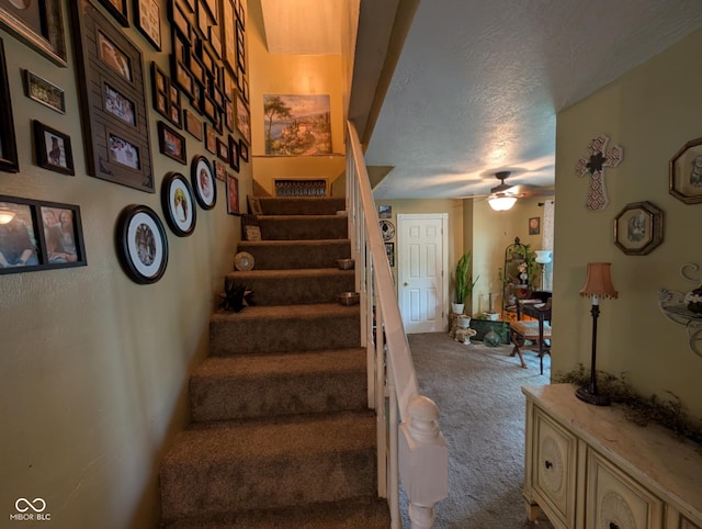 317 Washington St, Clay City, IN 47841 - stairway featuring carpet floors, a ceiling fan, and a textured ceiling
