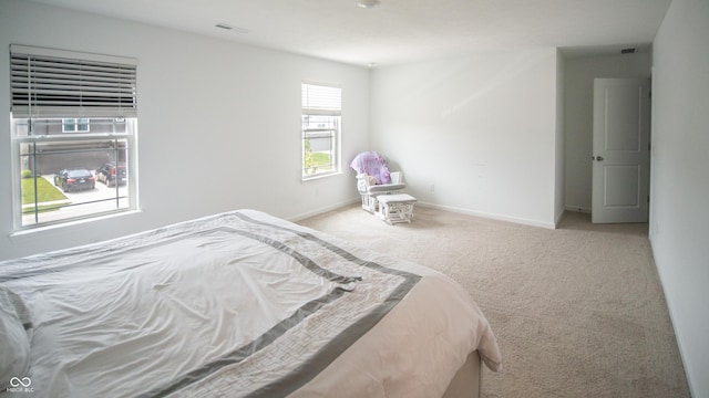2916 W Bargello Ln, Monrovia, IN 46157 - bedroom featuring carpet and baseboards