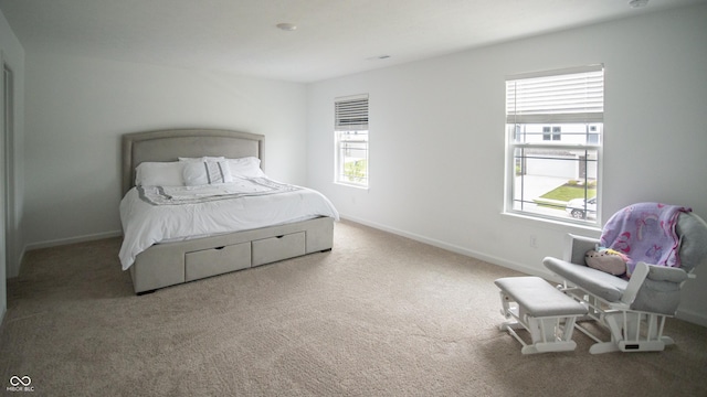 2916 W Bargello Ln, Monrovia, IN 46157 - carpeted bedroom with multiple windows and baseboards