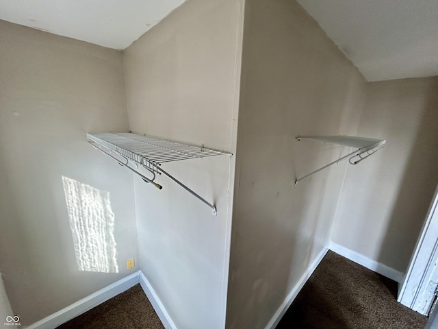 307 N Arlington Ave, Indianapolis, IN 46219 - spacious closet with carpet flooring