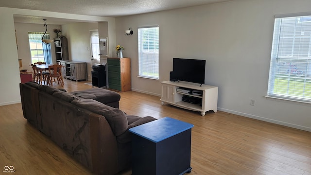 713 Driftwood Cir, Danville, IN 46122 - living room featuring light wood-type flooring, baseboards, plenty of natural light, and a textured ceiling