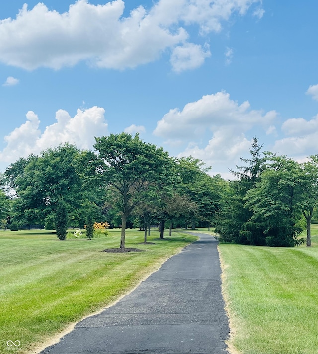 12772 Tram Ln, Carmel, IN 46032 - view of street