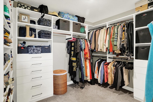 9716 Cimmaron Ave, Mccordsville, IN 46055 - walk in closet featuring carpet floors