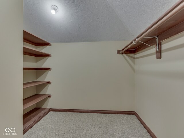 20 Forrests Edge Ct, Indianapolis, IN 46227 - walk in closet with carpet flooring