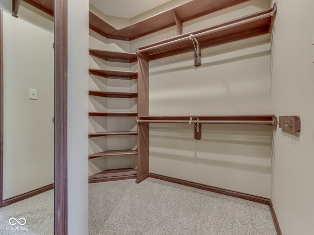 20 Forrests Edge Ct, Indianapolis, IN 46227 - walk in closet with carpet floors