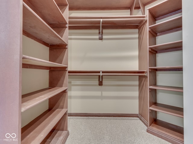 20 Forrests Edge Ct, Indianapolis, IN 46227 - spacious closet with carpet flooring