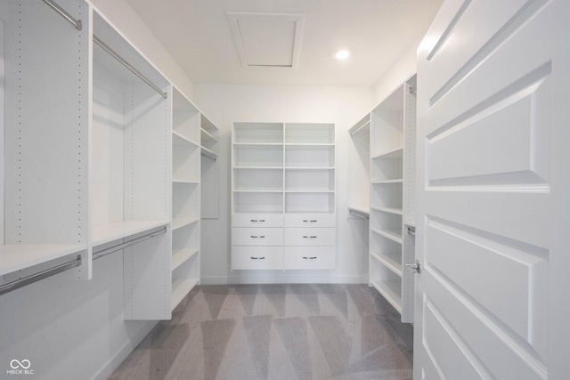 19800 Sutton Ter, Westfield, IN 46074 - walk in closet featuring dark carpet