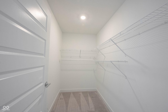 19800 Sutton Ter, Westfield, IN 46074 - walk in closet featuring carpet floors