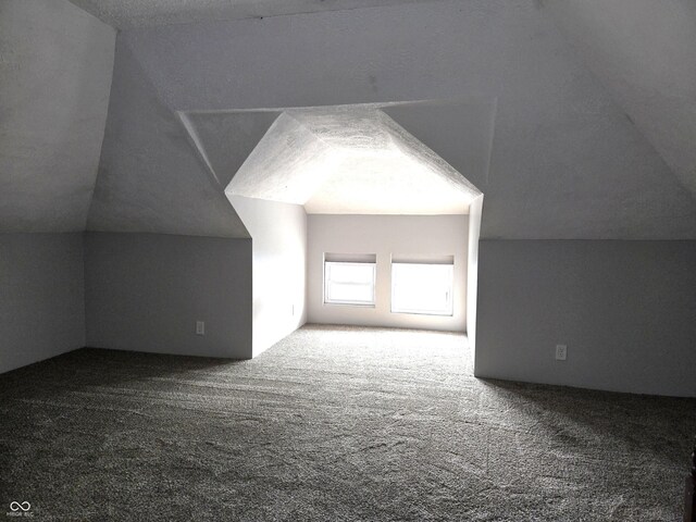 509 Shelby St, Shelbyville, IN 46176 - photo 23