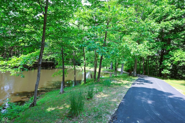 5654 Paradise Dr, Martinsville, IN 46151 - view of road featuring a water view