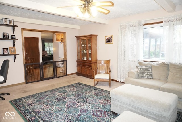 254 Bittersweet Dr, Whiteland, IN 46184 - living room with carpet, a ceiling fan, beam ceiling, baseboards, and a textured ceiling