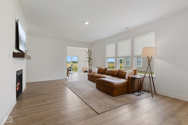 14848 Stonneger St, Westfield, IN 46074 - living area featuring light wood finished floors, a warm lit fireplace, baseboards, and recessed lighting