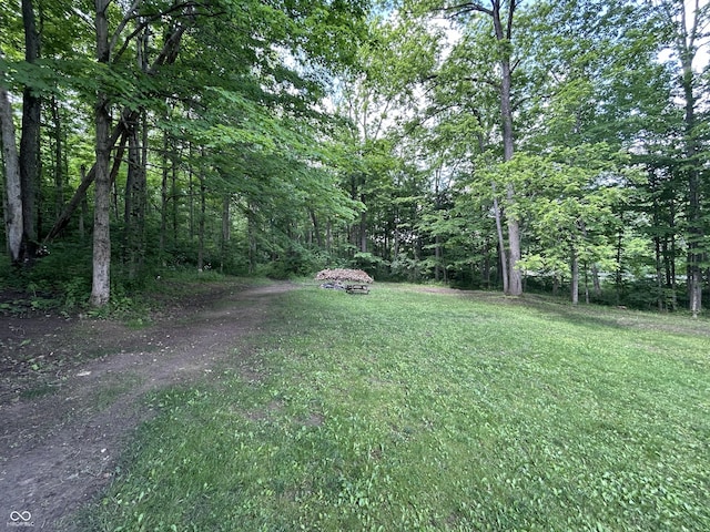 5174 S Greensboro Pike, Knightstown, IN 46148 - view of green lawn featuring a forest view