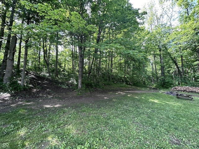 5174 S Greensboro Pike, Knightstown, IN 46148 - view of green lawn with a wooded view