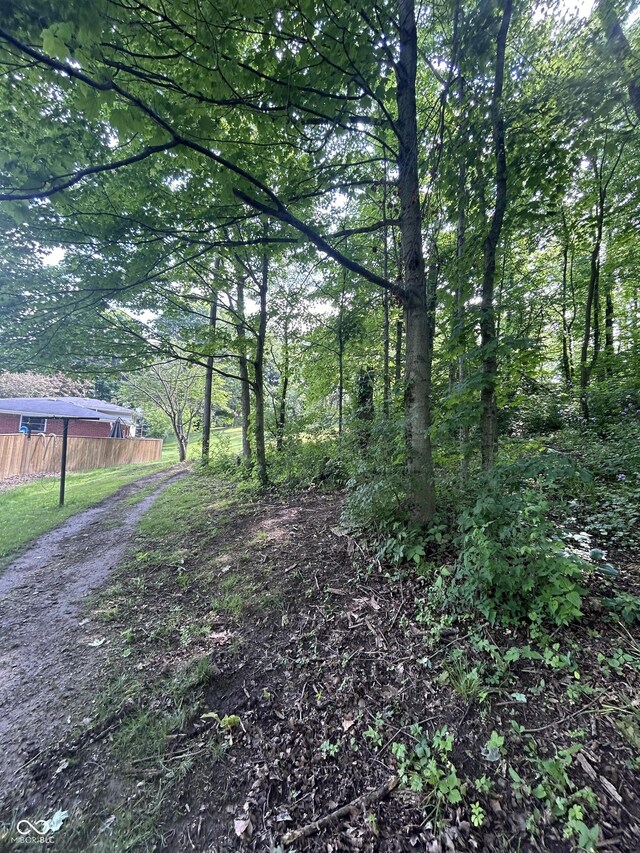 5174 S Greensboro Pike, Knightstown, IN 46148 - view of nature