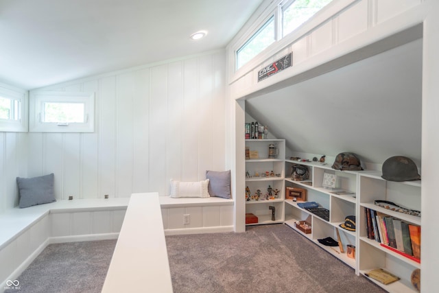 5315 Camden St, Indianapolis, IN 46227 - game room featuring carpet, healthy amount of natural light, and lofted ceiling