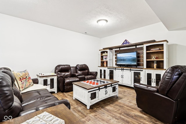 1521 Avondale Dr, Westfield, IN 46074 - living room featuring wood finished floors and a textured ceiling