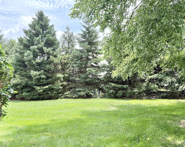 7042 Gavin Dr, Indianapolis, IN 46217 - view of grassy yard