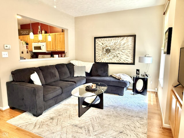 7042 Gavin Dr, Indianapolis, IN 46217 - living room with light wood finished floors and a textured ceiling