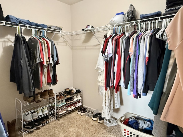 7042 Gavin Dr, Indianapolis, IN 46217 - walk in closet with carpet floors
