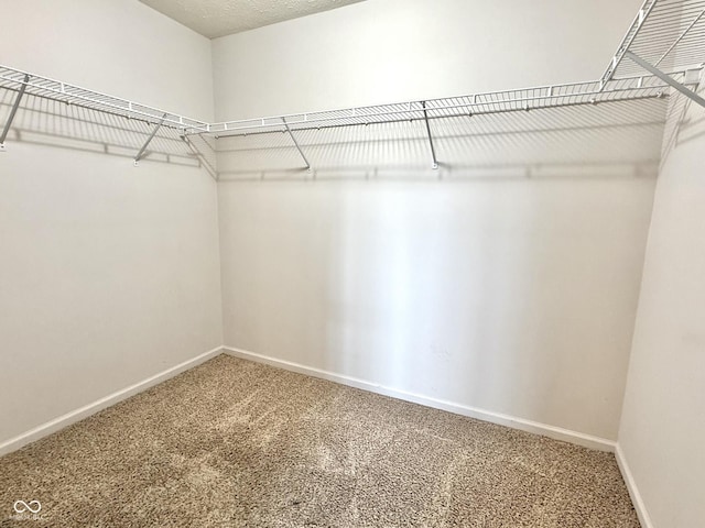 7042 Gavin Dr, Indianapolis, IN 46217 - photo 20