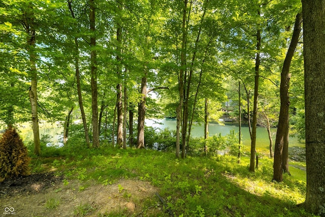 2805 Fox Ct E, Martinsville, IN 46151 - photo 50
