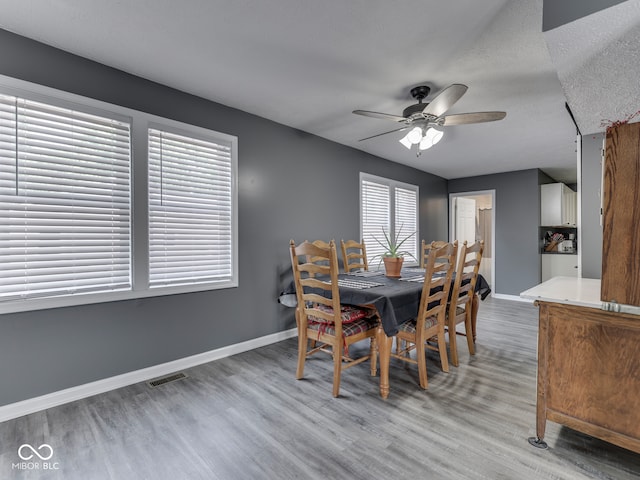 730 N Forsythe St, Franklin, IN 46131 - dining area featuring light wood-style flooring, baseboards, a ceiling fan, and a textured ceiling