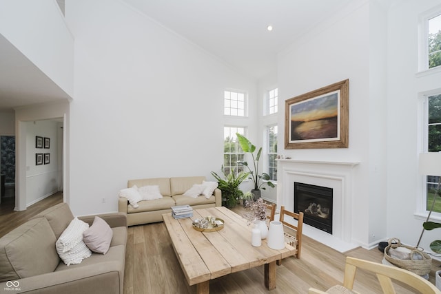 3876 Kegler Way, Carmel, IN 46074 - living room with high vaulted ceiling, a fireplace with flush hearth, light wood-style flooring, crown molding, and baseboards