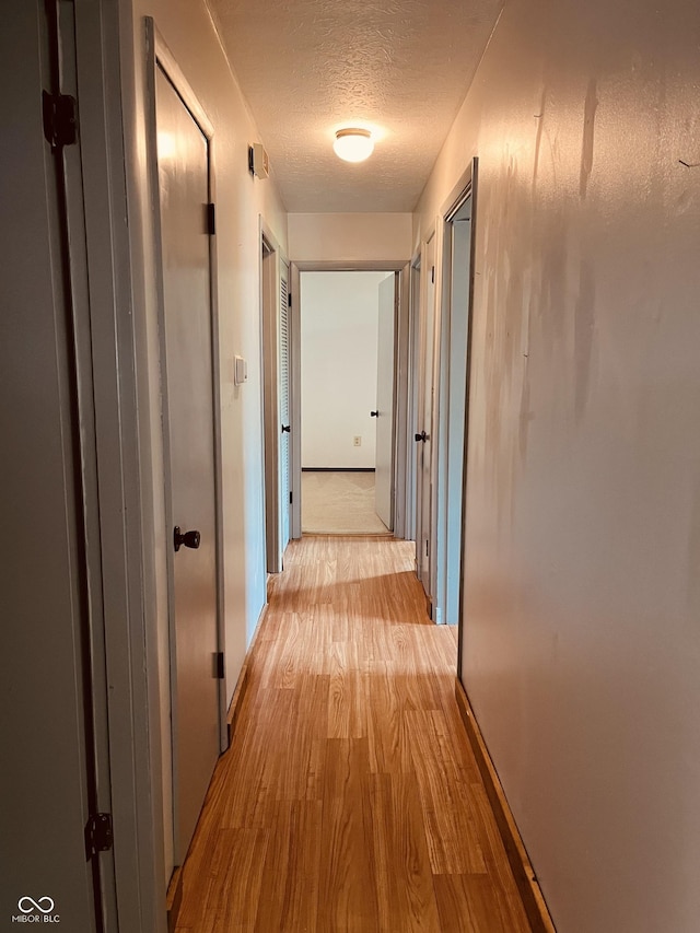 514 W 6th St, Sheridan, IN 46069 - corridor featuring light wood-style flooring, a textured ceiling, and baseboards