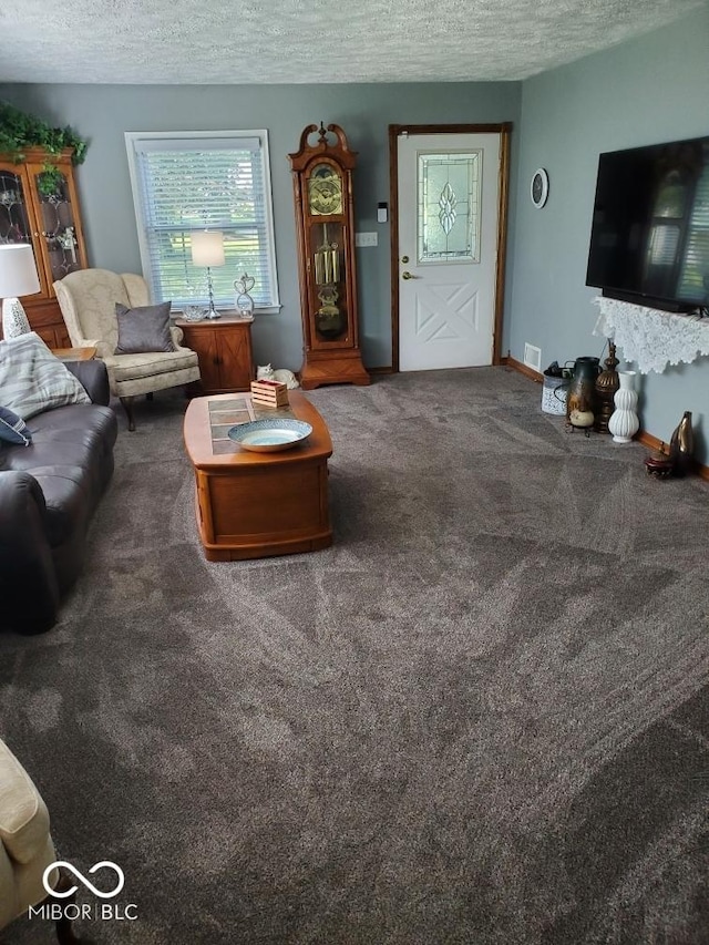 1322 Greenway Dr, Anderson, IN 46011 - carpeted living room featuring a textured ceiling and baseboards