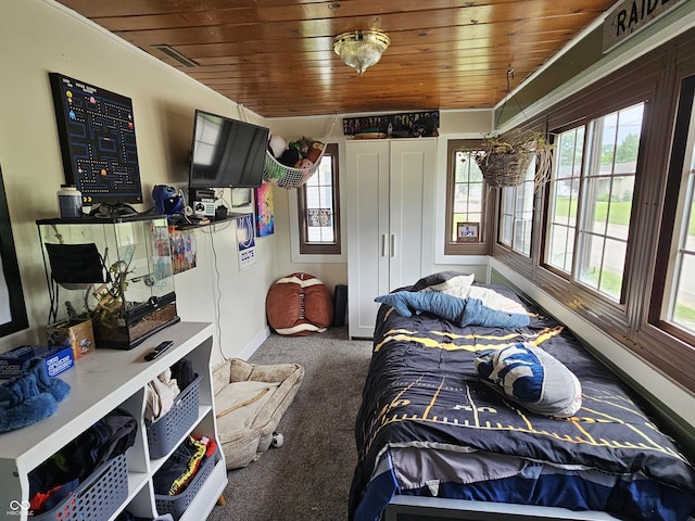 29 Home Ave, Markleville, IN 46056 - carpeted bedroom featuring wooden ceiling, baseboards, and multiple windows