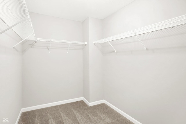 6762 Brentwood Ct, Brownsburg, IN 46112 - walk in closet with carpet floors