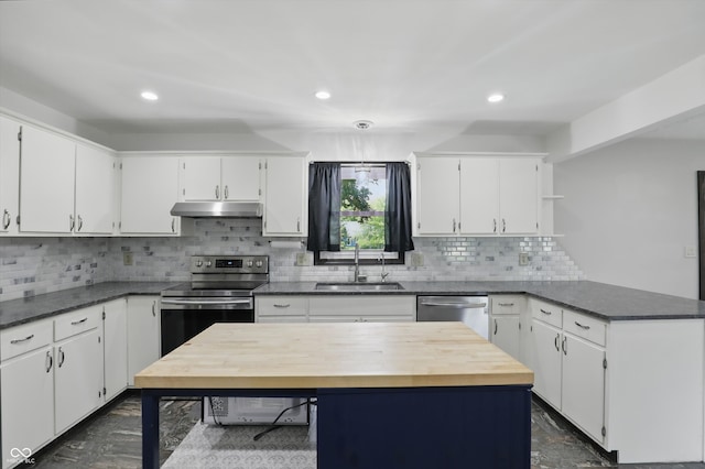 8510 N Carroll Rd, Indianapolis, IN 46236 - kitchen with a sink, stainless steel appliances, under cabinet range hood, a peninsula, and white cabinets