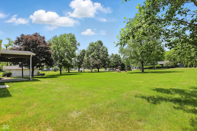 8510 N Carroll Rd, Indianapolis, IN 46236 - view of grassy yard