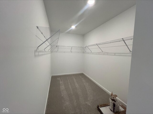 764 Parker Ln, Westfield, IN 46074 - photo 24