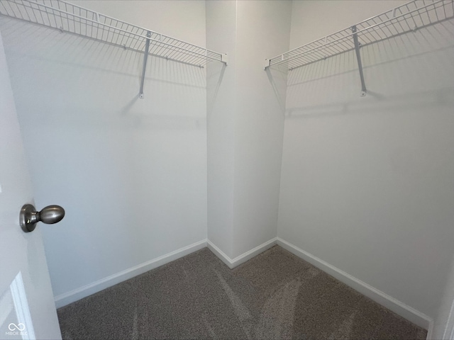 764 Parker Ln, Westfield, IN 46074 - photo 7