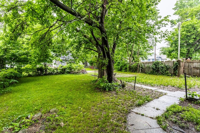 3652 N Kenwood Ave, Indianapolis, IN 46208 - view of yard