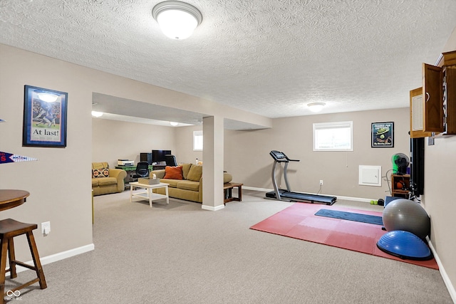 8030 Parcrest Ct, Indianapolis, IN 46259 - exercise area with carpet floors and a textured ceiling