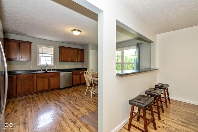 29 Northview Dr, Danville, IN 46122 - kitchen with dishwasher, a sink, light wood-type flooring, a textured ceiling, and plenty of natural light