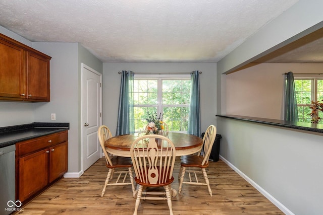 29 Northview Dr, Danville, IN 46122 - dining room featuring light wood finished floors, baseboards, and a textured ceiling