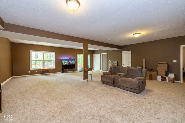 29 Northview Dr, Danville, IN 46122 - carpeted living room with baseboards and a textured ceiling