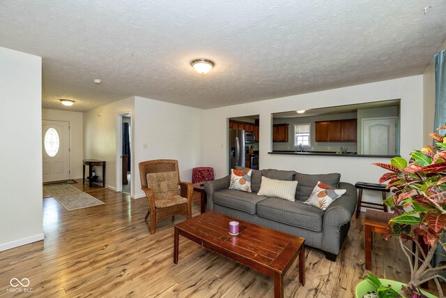 29 Northview Dr, Danville, IN 46122 - living room featuring light wood-style flooring, healthy amount of natural light, a textured ceiling, and baseboards