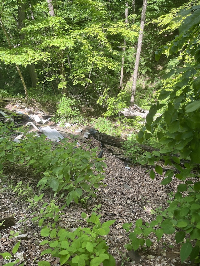 11124 S County Road 225 W, Cloverdale, IN 46120 - view of local wilderness