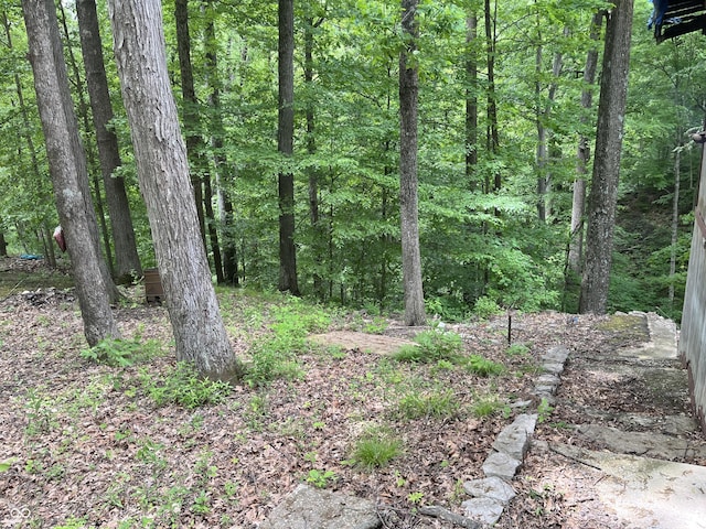 11124 S County Road 225 W, Cloverdale, IN 46120 - view of tree filled area