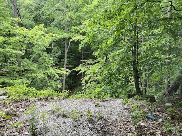 11124 S County Road 225 W, Cloverdale, IN 46120 - view of woods