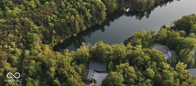 1643 N Oak N Pine Ln, Center Point, IN 47840 - aerial overview of property's location with a large body of water and a forest