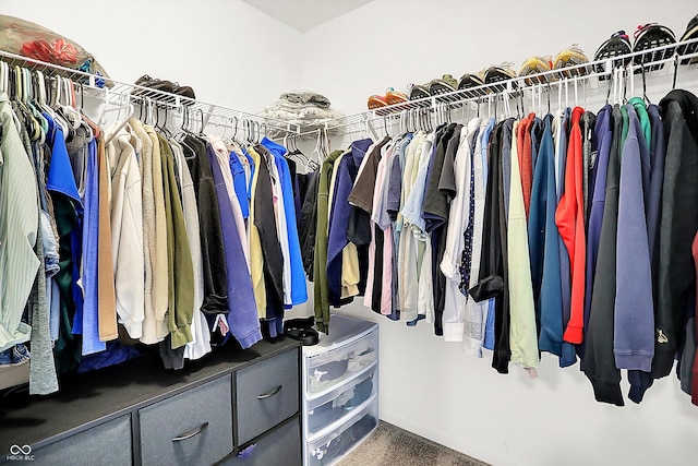 3428 Thomas Jefferson St, Westfield, IN 46074 - walk in closet featuring carpet floors