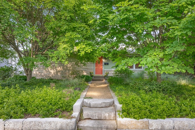 2233 Washington St, Columbus, IN 47201 - view of property hidden behind natural elements